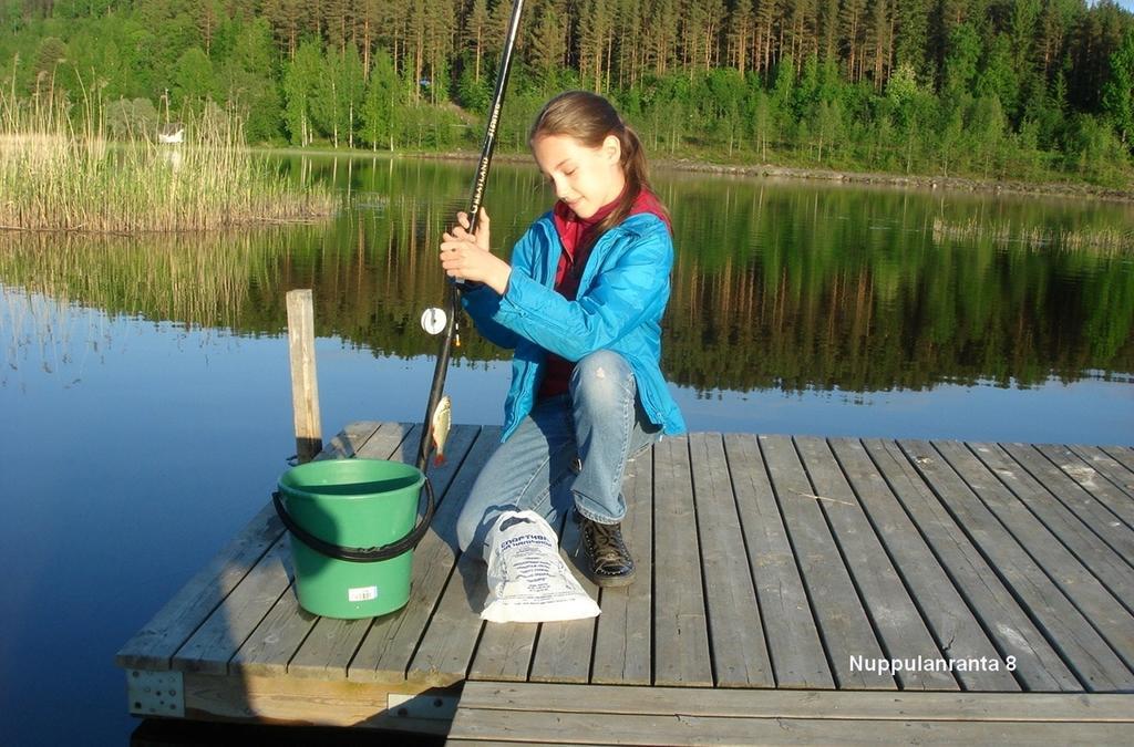 Cottage Nuppulanranta Jämsä Værelse billede